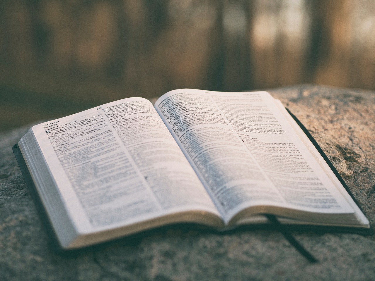 Chatbots religiosos ganan terreno como guía espiritual, expertos advierten sobre riesgos