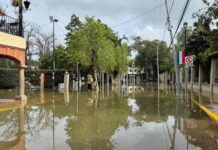 Dos escuelas a clases virtuales en Tequisquiapan por desfogue de presa Centenario
Iniciarán clases virtuales en Tequisquiapan por desfogue de presa Centenario