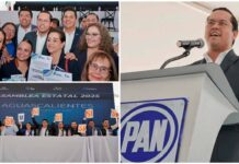 Chepe Guerrero llama a la unidad del PAN durante Asamblea Estatal en Aguascalientes
Chepe Guerrero llama a la unidad del PAN durante Asamblea Estatal en Aguascalientes