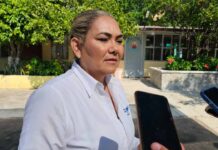 Se regularizan clases en la Sierra Gorda de Querétaro: USEBEQ
Se regularizan clases en la Sierra Gorda de Querétaro: USEBEQ