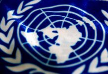 ONU cumple 80 años: el Día del Internacionalista celebra los cimientos de la cooperación
ONU cumple 80 años: el Día del Internacionalista celebra los cimientos de la cooperación