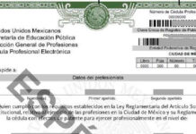 Querétaro incorpora su Cédula Profesional Estatal al Registro Nacional de Profesionistas
Querétaro incorpora su Cédula Profesional Estatal al Registro Nacional de Profesionistas