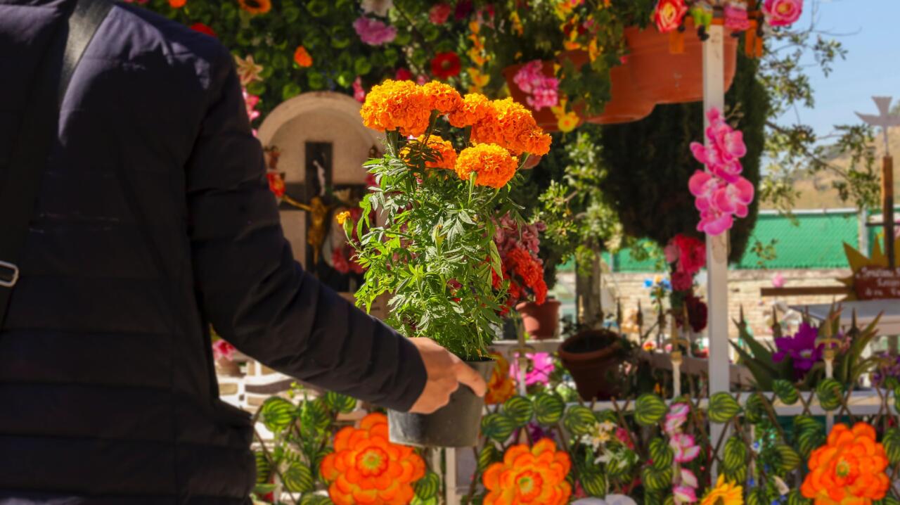Panteones de Corregidora listos para recibir a más de 40 mil visitantes