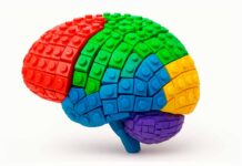 Legos cognitivos, la razón por la que el cerebro humano sigue siendo superior a la IA
Legos cognitivos, la razón por la que el cerebro humano sigue siendo superior a la IA