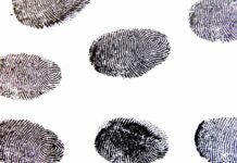 ¿Por qué México es un blanco digital? El caso de la huella digital de los usuarios
¿Por qué México es un blanco digital? El caso de la huella digital de los usuarios