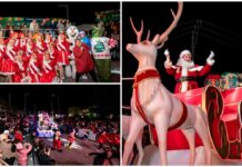 Festival Alegría Contigo 2025 llega a El Marqués
Festival Alegría Contigo 2025 llega a El Marqués