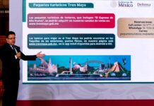 Tren Maya lanza 20 paquetes turísticos de invierno para promover la Riviera Maya
Tren Maya lanza 20 paquetes turísticos de invierno para promover la Riviera Maya