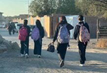 Inician vacaciones de invierno en educación básica el viernes 19 de diciembre
Inician vacaciones de invierno en educación básica el viernes 19 de diciembre