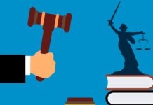 Acordeones, berrinches y camionetas de lujo: la Corte del pueblo al servicio del poder – Blog de Castrejón
Acordeones, berrinches y camionetas de lujo: la Corte del pueblo al servicio del poder - Blog de Castrejón