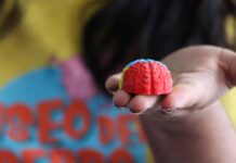 Colabora UAQ en el cuidado de la salud mental en Querétaro
Colabora UAQ en el cuidado de la salud mental en Querétaro