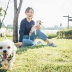 ¿Sabías que en México solo 1 de cada 4 perros está esterilizado? ¿Sabías que en México solo 1 de cada 4 perros estáesterilizado?