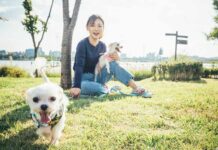 ¿Sabías que en México solo 1 de cada 4 perros está esterilizado?
¿Sabías que en México solo 1 de cada 4 perros estáesterilizado?