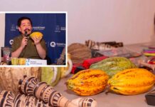 Festival Mexicacao llega al MACQ con 38 expositores
Festival Mexicacao llega al MACQ con 38 expositores