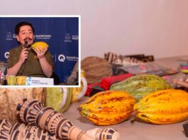 Festival Mexicacao llega al MACQ con 38 expositores Festival Mexicacao llega al MACQ con 38 expositores