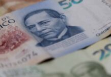 Terminan once años de alza en remesas y México registra caída anual de 4.6% en 2025
Terminan once años de alza en remesas y México registra caída anual de 4.6% en 2025