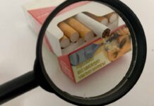 Evitar tabaco y alcohol reduciría casi 40% de los nuevos casos de cáncer en el mundo
Evitar tabaco y alcohol reduciría casi 40% de los nuevos casos de cáncer en el mundo
