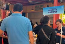 Municipio de Querétaro refuerza acciones de bienestar animal
Municipio de Querétaro refuerza acciones de bienestar animal