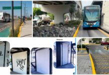 AMEQ realiza mejoras en Paseo 5 de Febrero en Querétaro
AMEQ realiza mejoras en Paseo 5 de Febrero en Querétaro