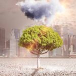 Aumenta en México deterioro ambiental en indicadores clave pese a su riqueza natural Aumenta en México deterioro ambiental en indicadores clave pese a su riqueza natural