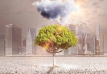 Aumenta en México deterioro ambiental en indicadores clave pese a su riqueza natural
Aumenta en México deterioro ambiental en indicadores clave pese a su riqueza natural