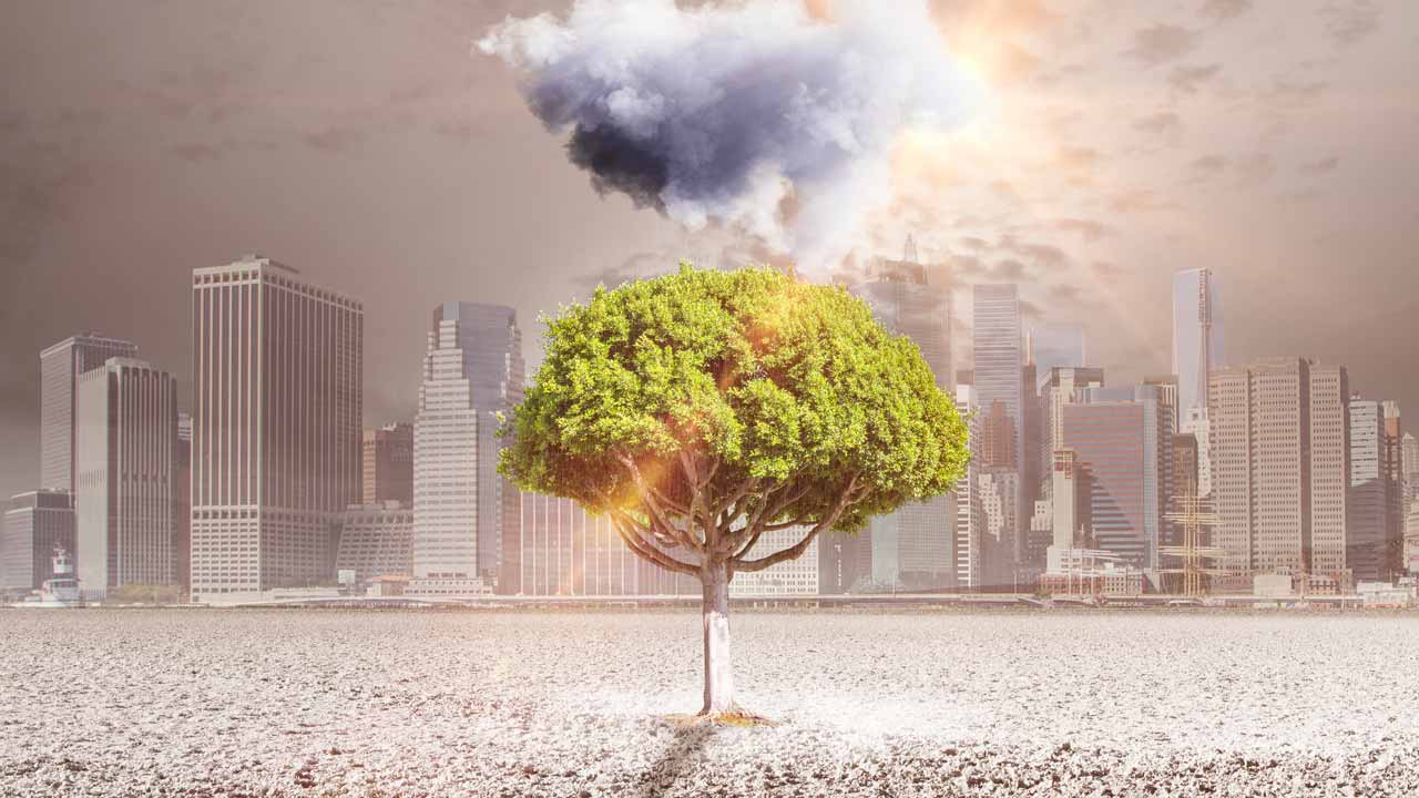 Aumenta en México deterioro ambiental en indicadores clave pese a su riqueza natural