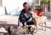 Corregidora tendrá su primera Clínica Veterinaria Municipal, anunció Chepe Guerrero Corregidora tendrá su primera Clínica Veterinaria Municipal, anunció Chepe Guerrero