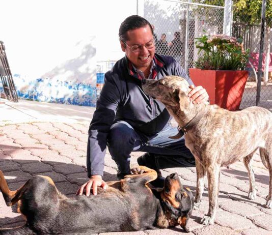Corregidora tendrá su primera Clínica Veterinaria Municipal, anunció Chepe Guerrero Corregidora tendrá su primera Clínica Veterinaria Municipal, anunció Chepe Guerrero