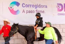 DIF Corregidora brinda 2 mil terapias gratuitas con caballos
DIF Corregidora brinda 2 mil terapias gratuitas con caballos
