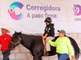 DIF Corregidora brinda 2 mil terapias gratuitas con caballos DIF Corregidora brinda 2 mil terapias gratuitas con caballos