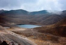 ONU solicita intervención de la Asamblea General por Desapariciones Forzadas en México
ONU solicita intervención de la Asamblea General por Desapariciones Forzadas en México