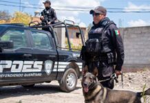 Policía Estatal de Querétaro en el Top 10 nacional
Policía Estatal de Querétaro en el Top 10 nacional