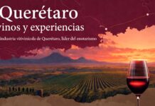 Vinos y experiencias: La industria vitivinícola de Querétaro, líder del enotur – Contrastes
Vinos y experiencias: La industria vitivinícola de Querétaro, líder del enotur