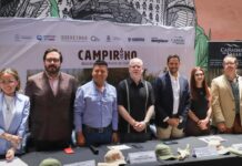 Anuncian Campirino, laberinto monumental de maíz en Huimilpan
Anuncian Campirino, laberinto monumental de maíz en Huimilpan