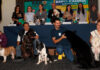 Expo Canina 2026 llegará al QCC con más de 500 ejemplares Expo Canina 2026 llegará al QCC con más de 500 ejemplares
