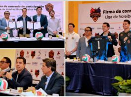 Querétaro tendrá equipo profesional de voleibol y ocho academias deportivas