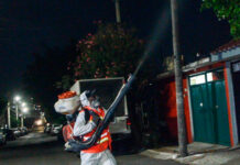 Intensifican combate a mosquitos en el Querétaro 2000
Intensifican combate a mosquitos en el Querétaro 2000