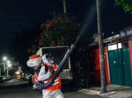 Intensifican combate a mosquitos en el Querétaro 2000 Intensifican combate a mosquitos en el Querétaro 2000