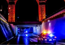 POES realizó más de 2 mil operativos en Querétaro
POES realizó más de 2 mil operativos en Querétaro