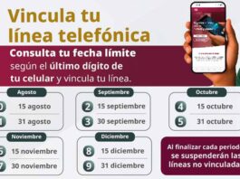 Extienden el plazo para registrar la línea telefónica con el CURP, ¿hasta cuándo? Extienden el plazo para registrar la línea telefónica con el CURP, ¿hasta cuándo?