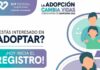 Abre DIF Querétaro convocatoria de adopción para niños mayores de 4 años Abre DIF Querétaro convocatoria de adopción para niños mayores de 4 años