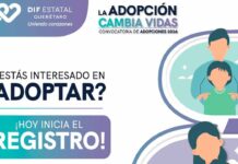 Abre DIF Querétaro convocatoria de adopción para niños mayores de 4 años
Abre DIF Querétaro convocatoria de adopción para niños mayores de 4 años