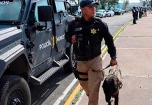 Bajan 17% delitos contra la integridad en el Municipio de Querétaro Bajan 17% delitos contra la integridad en Querétaro