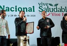 SEP lanza estrategia de salud mental para 7.5 millones de estudiantes SEP lanza estrategia de salud mental para 7.5 millones de estudiantes