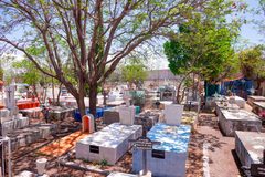Corregidora espera 40 mil visitas por Día de Muertos Corregidora espera 40 mil visitas por Día de Muertos