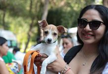 AMEQ realizará segunda Jornada Petfriendly en Querétaro AMEQ realizará segunda Jornada Petfriendly en Querétaro