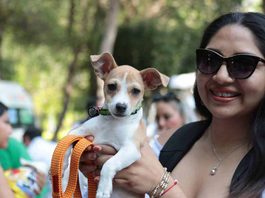 AMEQ realizará segunda Jornada Petfriendly en Querétaro AMEQ realizará segunda Jornada Petfriendly en Querétaro