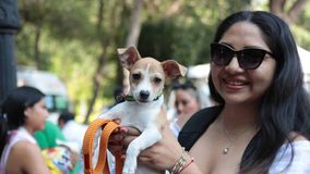 AMEQ realizará segunda Jornada Petfriendly en Querétaro AMEQ realizará segunda Jornada Petfriendly en Querétaro