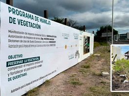 Plaza en Bernardo Quintana cuenta con los permisos ambientales y respeta El Tángano: Sedesu Plaza en Bernardo Quintana cuenta con los permisos ambientales y respeta El Tángano: Sedesu
