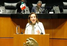 Murguía cuestiona reforma de propiedad intelectual